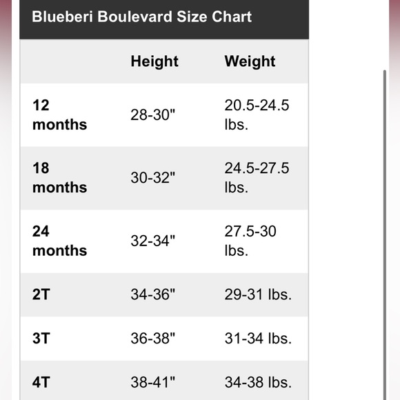 Toddler Girl Blueberi Boulevard Floral Applique Fit and Flare Dress - Picture 8 of 9